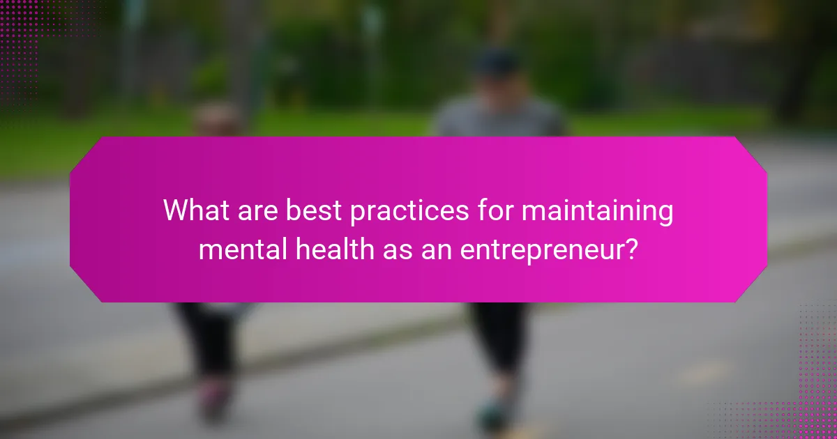 What are best practices for maintaining mental health as an entrepreneur?