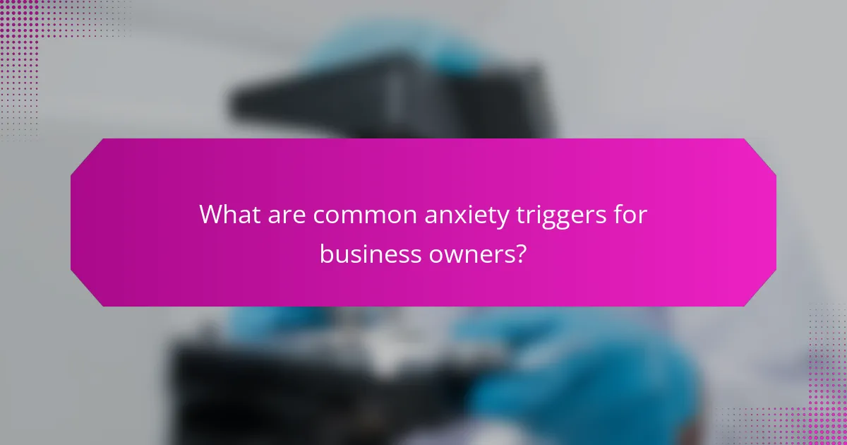 What are common anxiety triggers for business owners?