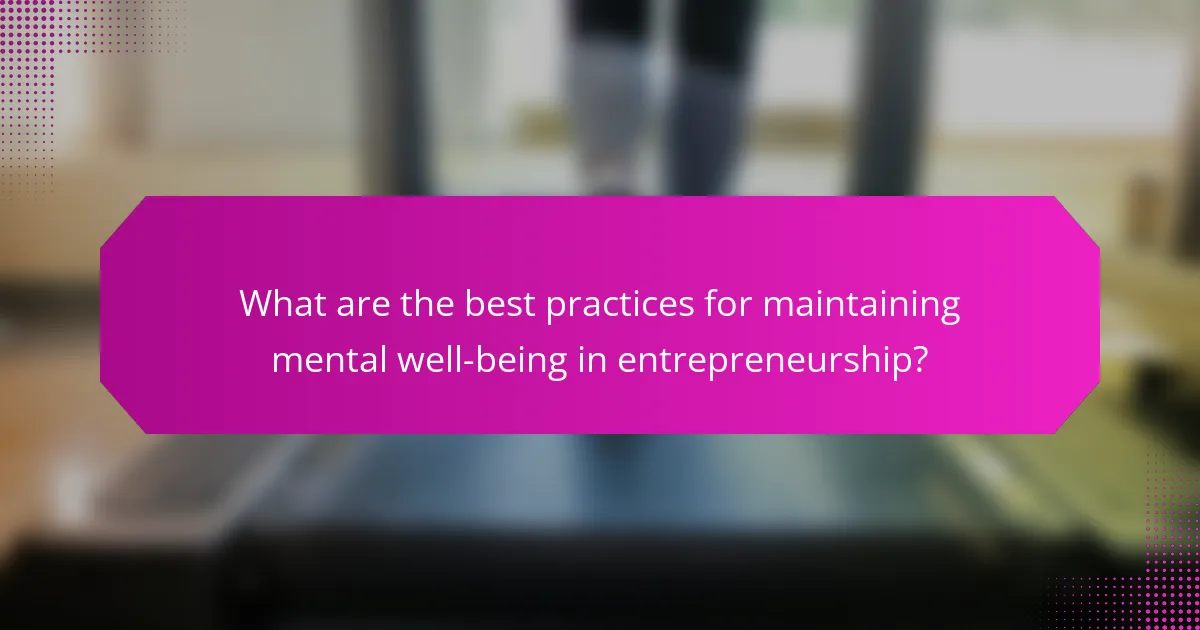 What are the best practices for maintaining mental well-being in entrepreneurship?