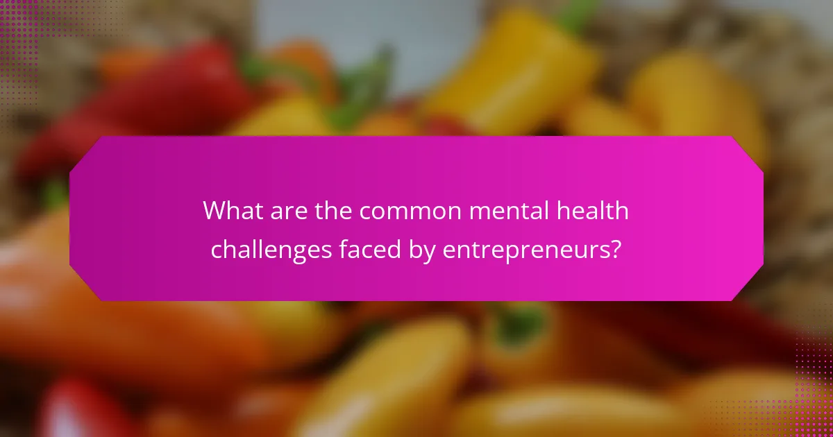 What are the common mental health challenges faced by entrepreneurs?