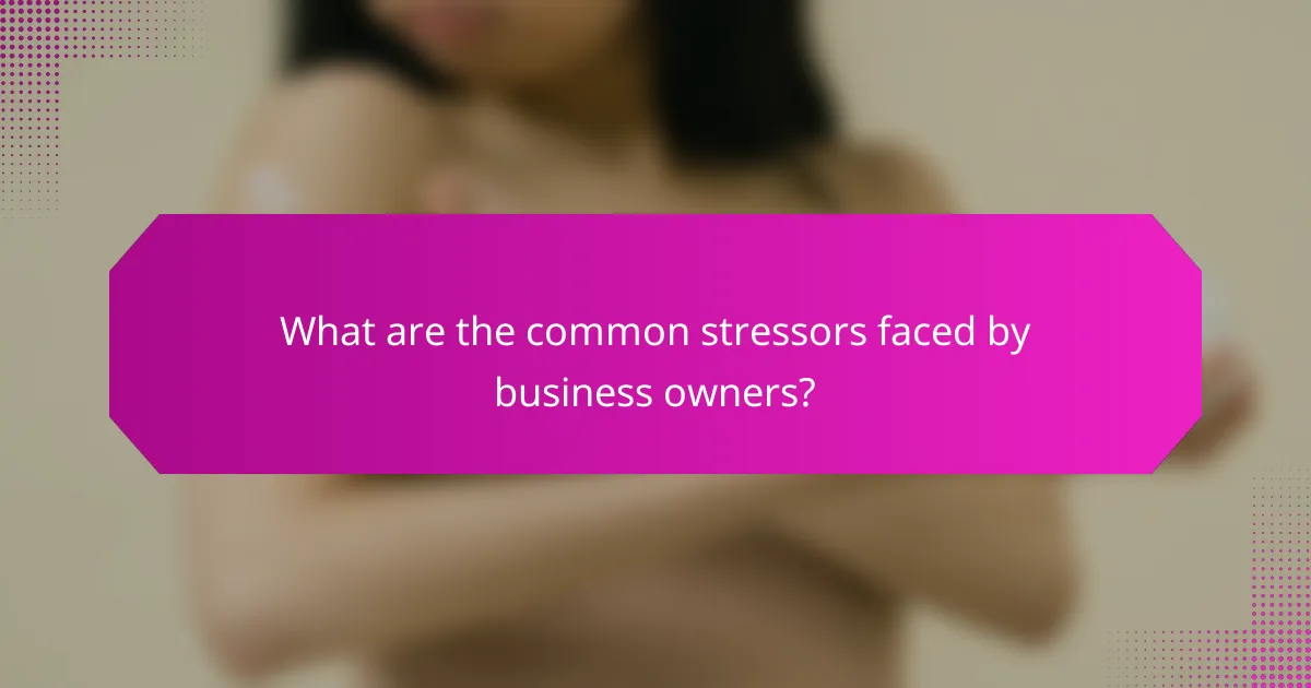 What are the common stressors faced by business owners?