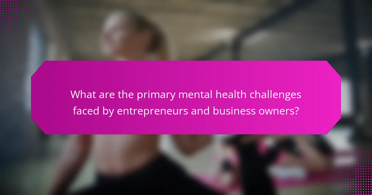 What are the primary mental health challenges faced by entrepreneurs and business owners?