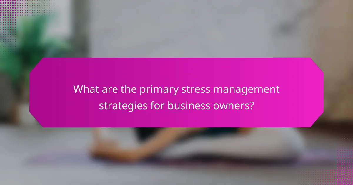 What are the primary stress management strategies for business owners?
