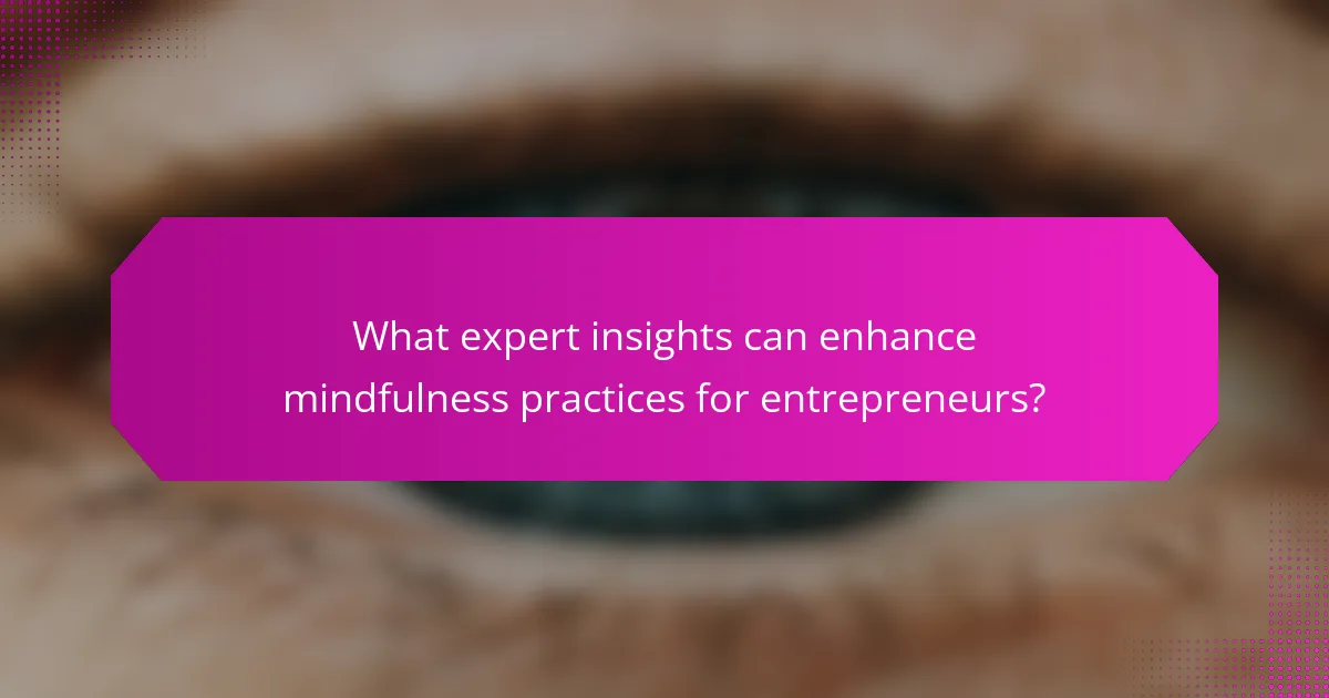 What expert insights can enhance mindfulness practices for entrepreneurs?