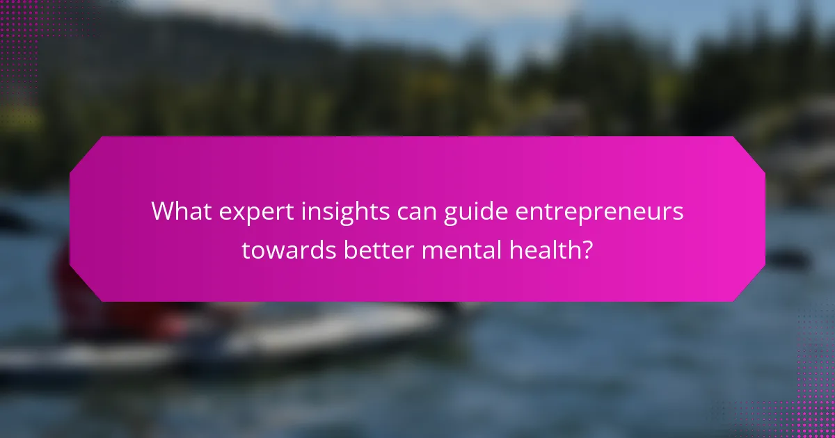 What expert insights can guide entrepreneurs towards better mental health?