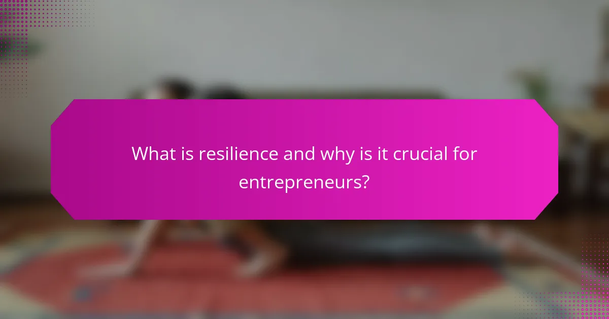 What is resilience and why is it crucial for entrepreneurs?