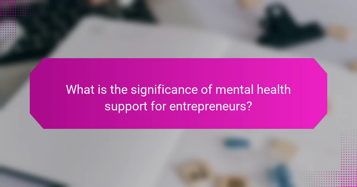 What is the significance of mental health support for entrepreneurs?