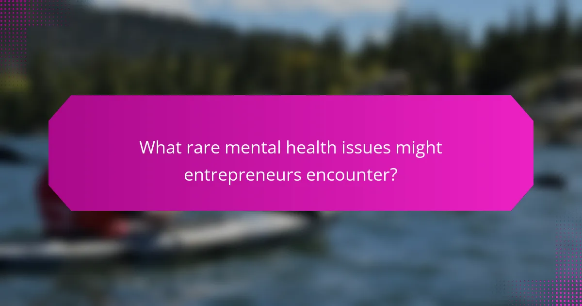 What rare mental health issues might entrepreneurs encounter?