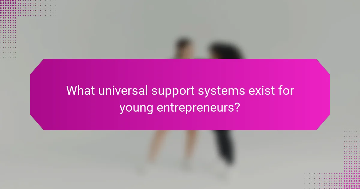 What universal support systems exist for young entrepreneurs?